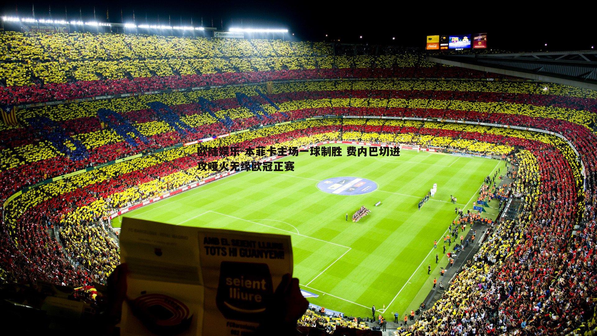 本菲卡主场一球制胜 费内巴切进攻哑火无缘欧冠正赛